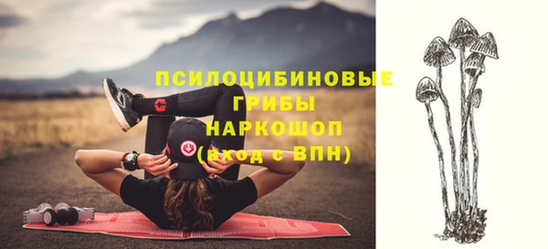mdma Новозыбков