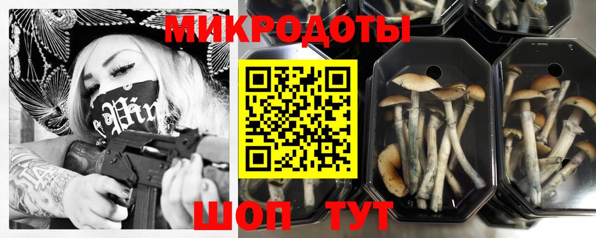 Псилоцибиновые грибы мицелий  Вход с VPN  Усть-Лабинск 