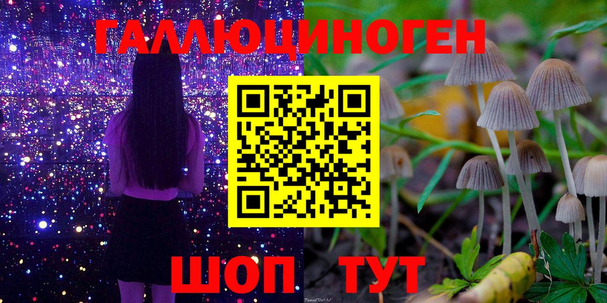 Псилоцибиновые грибы GOLDEN TEACHER Усть-Лабинск
